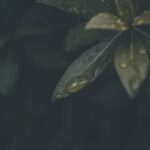 fintechzoom .io: What You Need to Know
