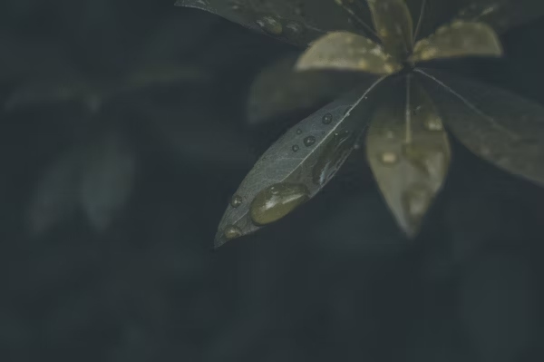 fintechzoom .io